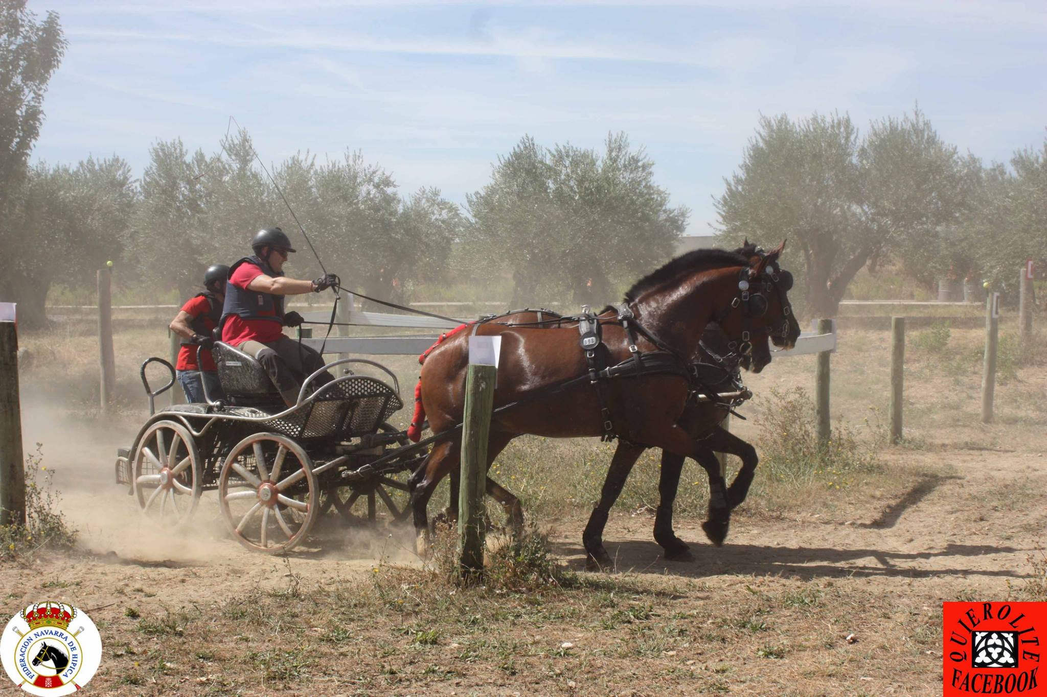 Olite acogió el Campeonato Navarro de Enganches